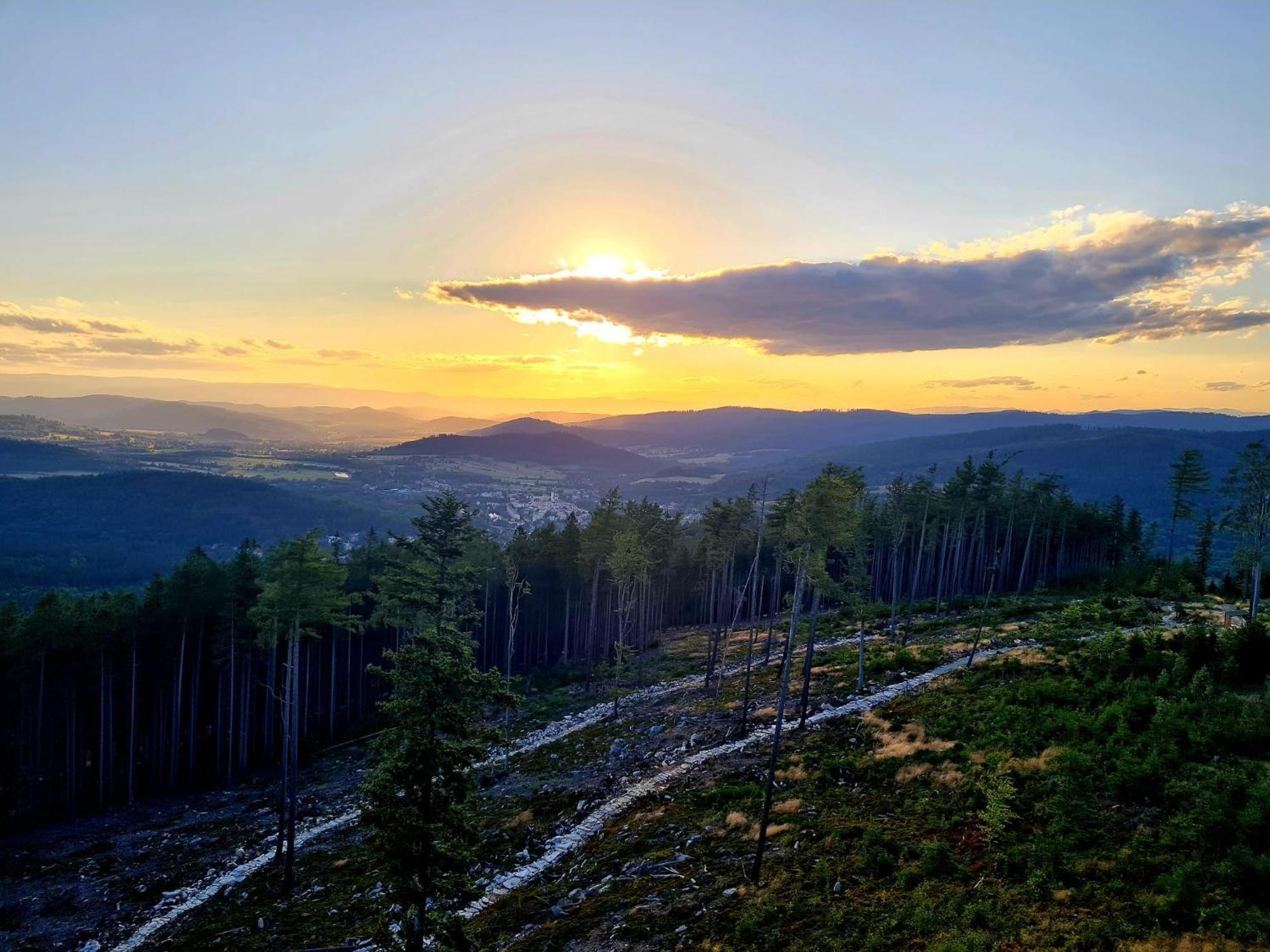 Sloneczne Domki Sudety - Domki Caloroczne Kotlina Klodzka Stary Waliszow Zimmer foto